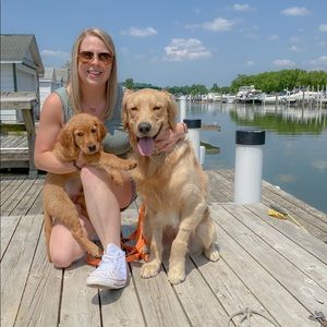 Meet your Posher, Holly